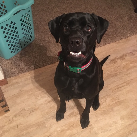 Meet your Posher, Scott - Picture 1 of 1